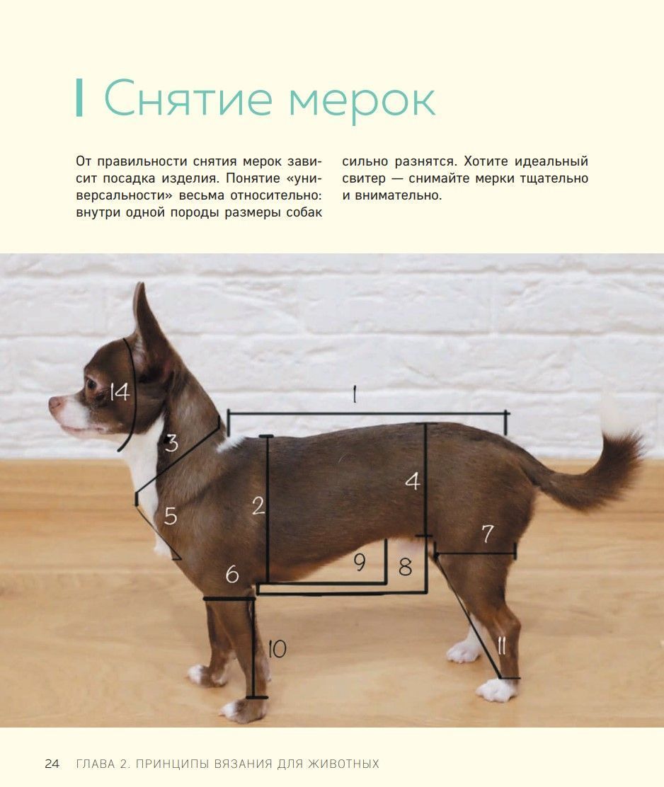 Гарний одяг для собак. В'яжемо спицями Катерина Єпік - Зображення 6