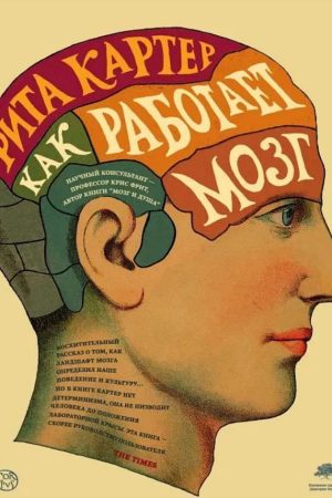 Як працює мозок Рита Картер